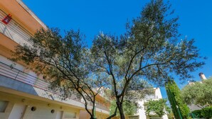 A courtyard with a tree, a building with balconies, and a clear blue sky. - Rescator Resort 302 - Two Bedroom Apartment, Sleeps 6 (Roses)