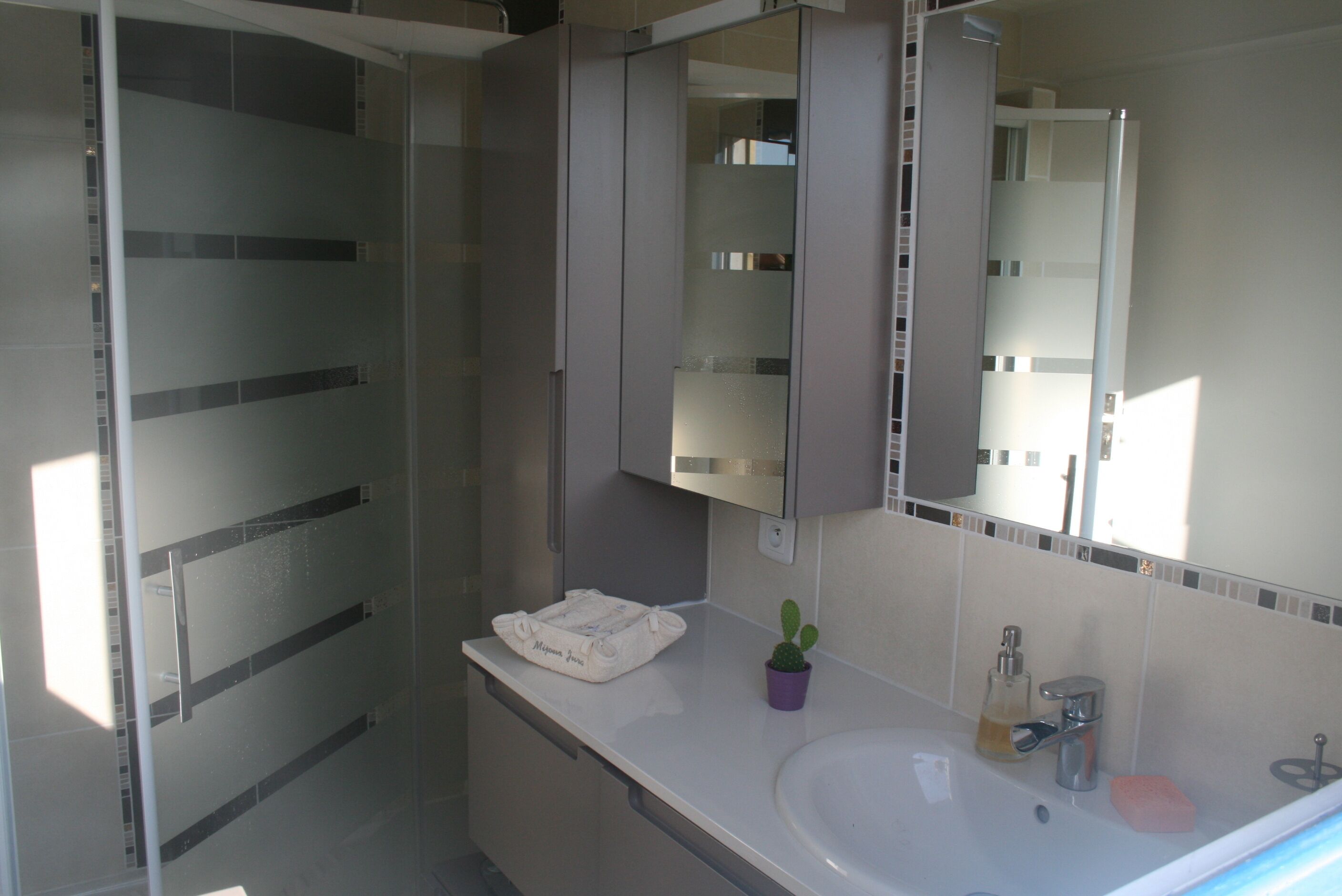 Shower, hair dryer, soap, toilet paper