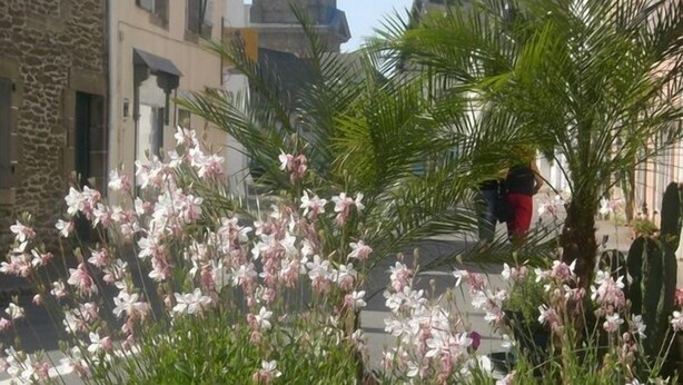 A street scene with a flower bed in the foreground, a stone building, and a tower in the background. - Pretty Cozy 3 * house, green 7/8 pers St Gildas de Rhuys, 1km bg, 2km beach (Saint-Gildas-De-Rhuys)