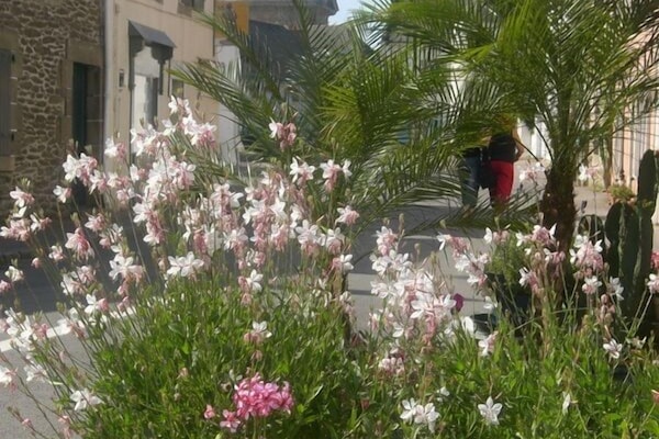 Rue fleurie du bourg de St Gildas