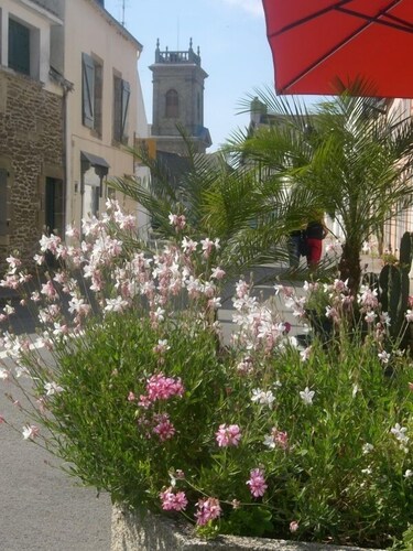 Pretty Cozy 3 * house, green 7/8 pers St Gildas de Rhuys, 1km bg, 2km beach