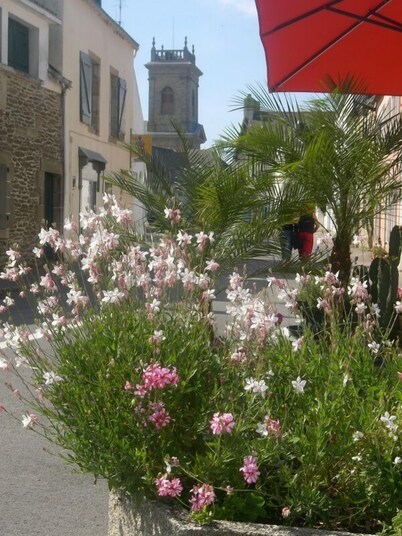 Pretty Cozy 3 * house, green 7/8 pers St Gildas de Rhuys, 1km bg, 2km beach