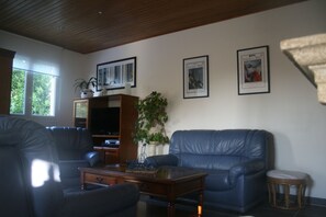 TV, fireplace, DVD player, books