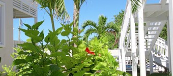 Anchor Point Apartments