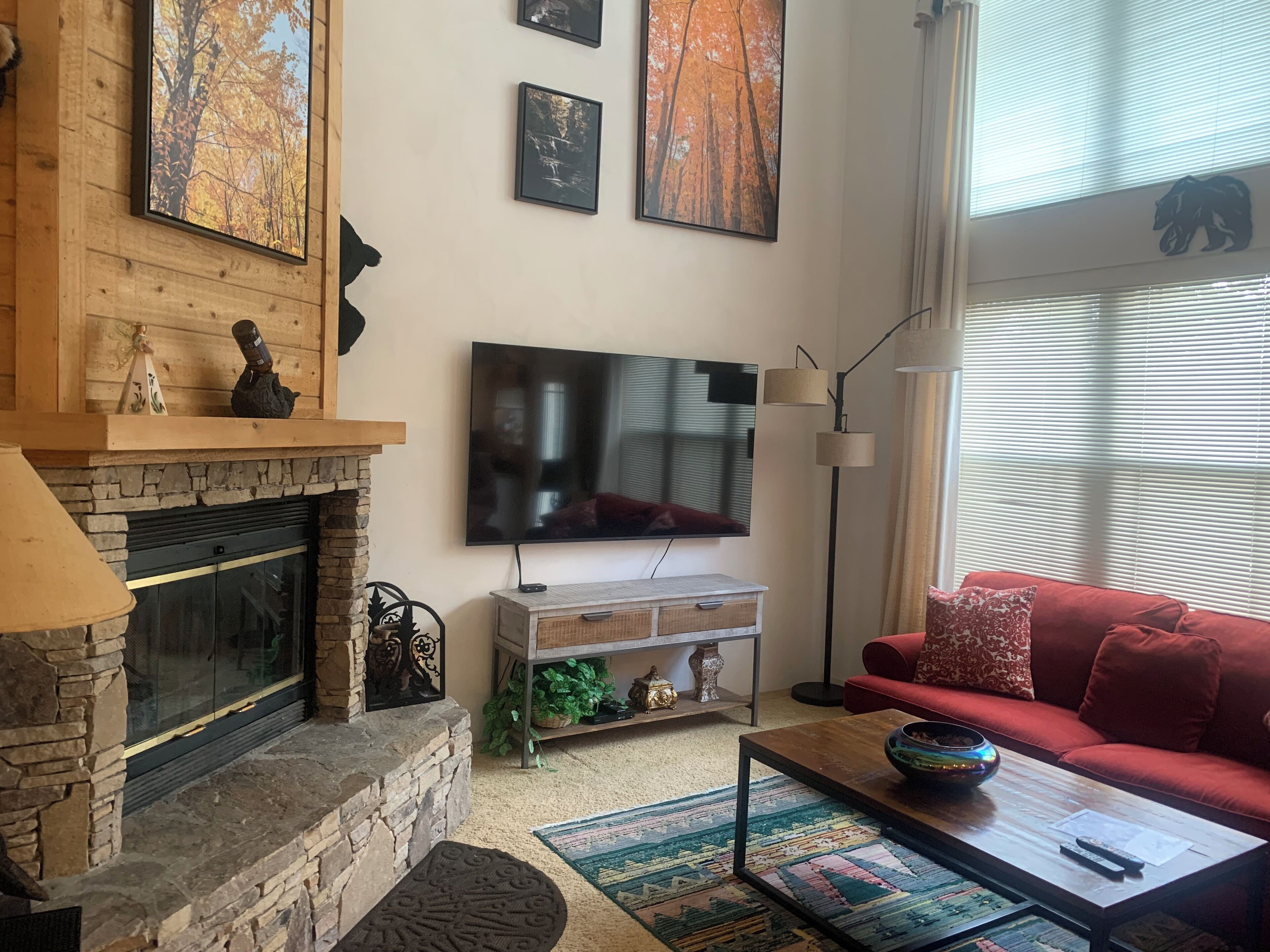 TV connectée, cheminée, lecteur de DVD, livres