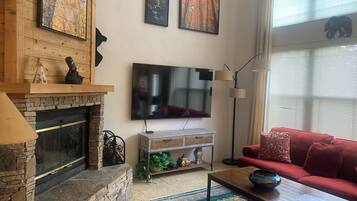 TV connectée, cheminée, lecteur de DVD, livres