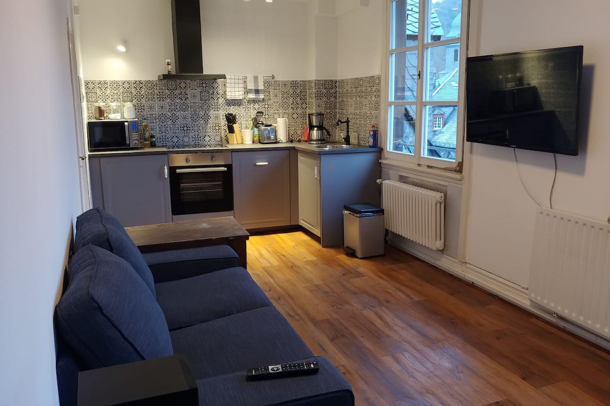 panoramic apartment, 1 bedroom, river view (cleaning fee included) | living room | smart tv