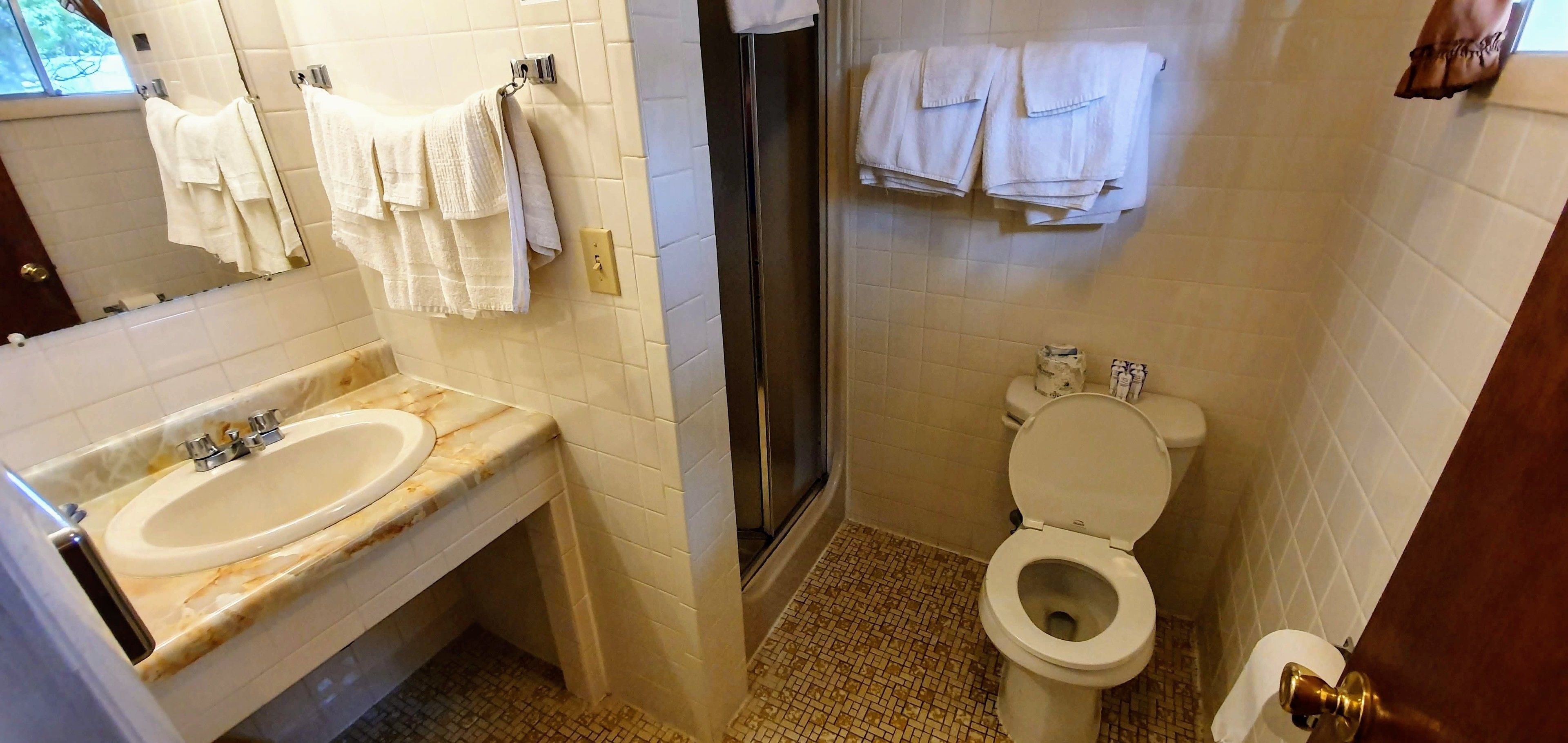 Une salle de bain avec un lavabo, des toilettes et une douche.