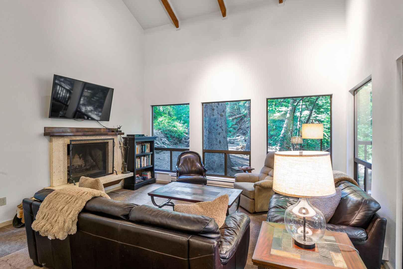 Smart TV, fireplace, DVD player, stereo