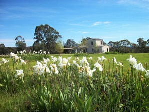 Property grounds - Casina Marcella - country house (Basalt)