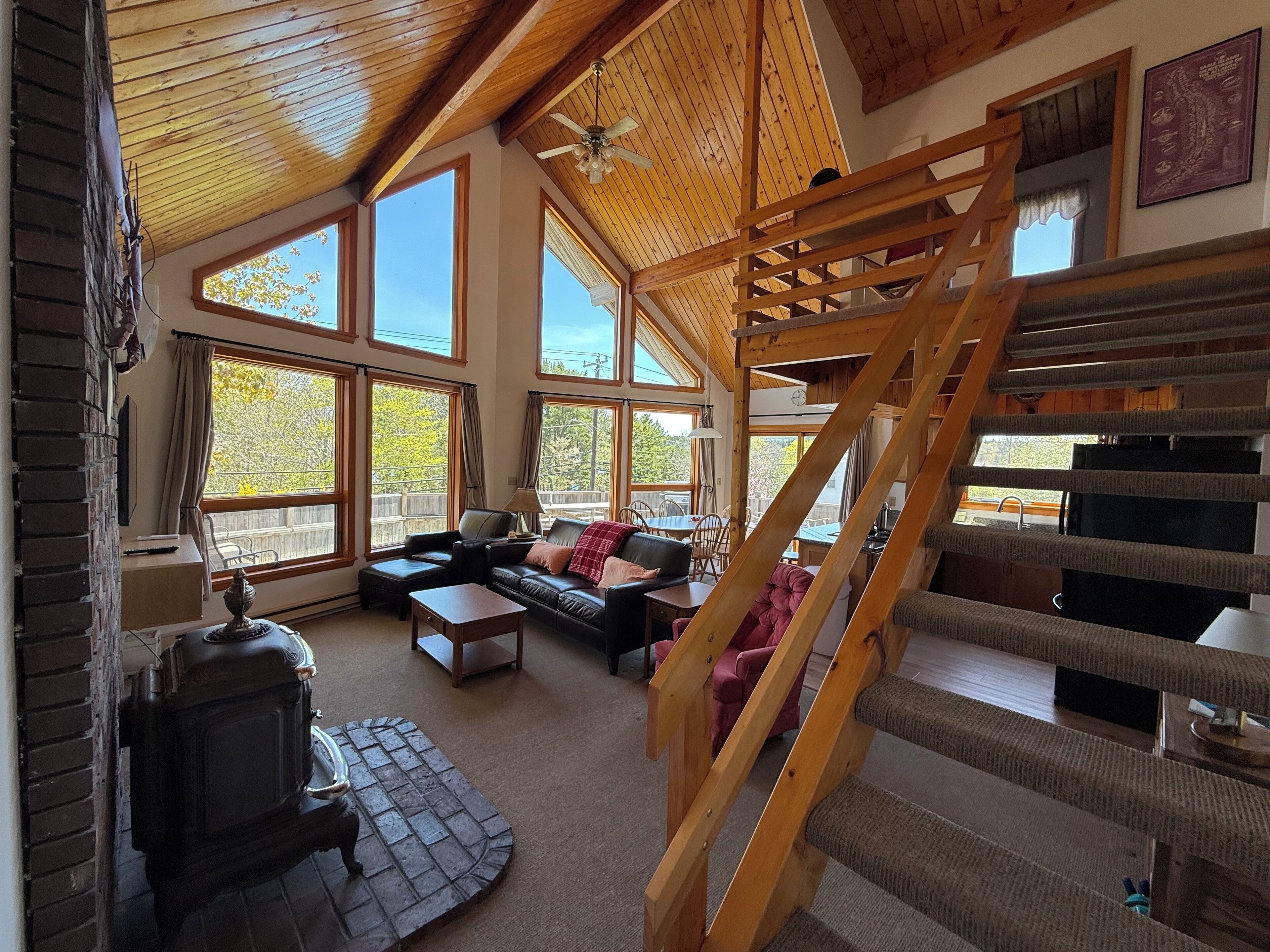 Smart TV, DVD player, books, video library