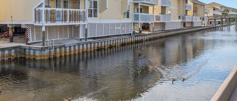 A waterfront hotel with balconies, a dock, and a canal with ducks.