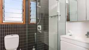 Shower, hair dryer