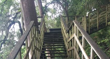 La primavera ha brotado en el río Suwannee