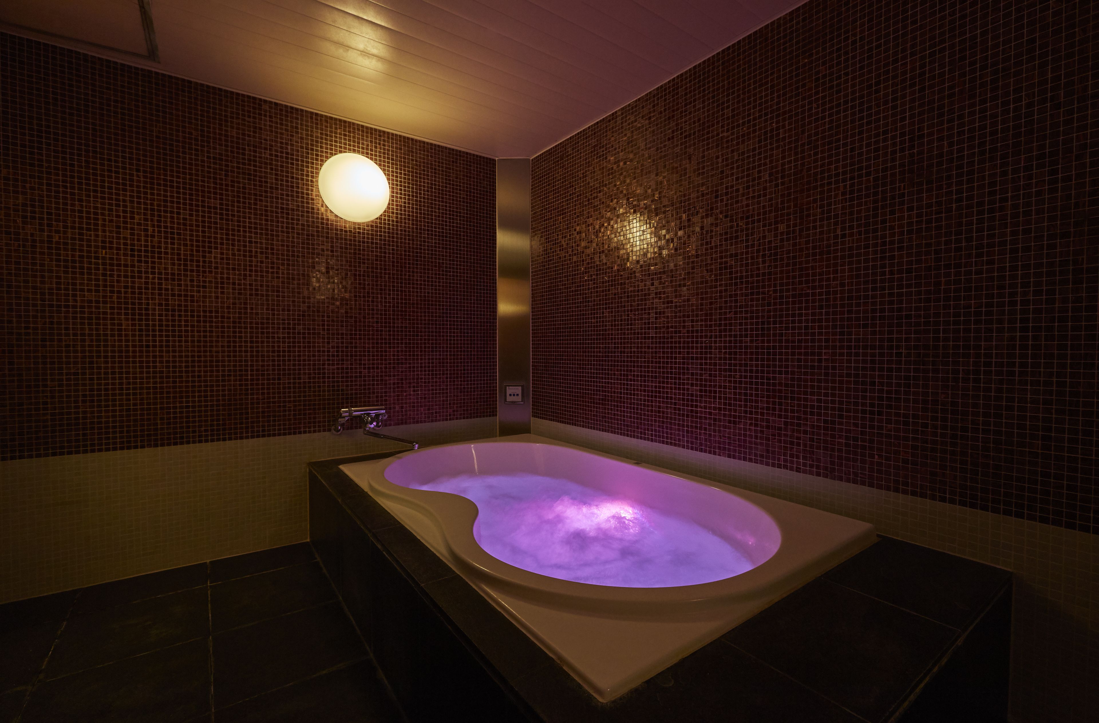premium double room, smoking (type e) | bathroom | separate bathtub and shower, jetted bath, free toiletries, hair dryer