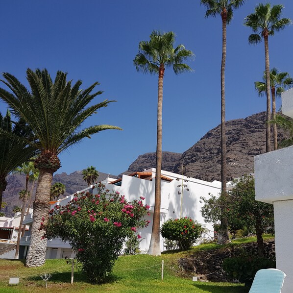 A white building with a flat roof, surrounded by palm trees and flowering bushes.