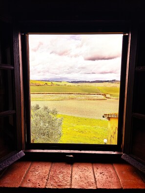 Interior - Apartment with garden, beautiful view, in the heart of Tuscany (Chianni)