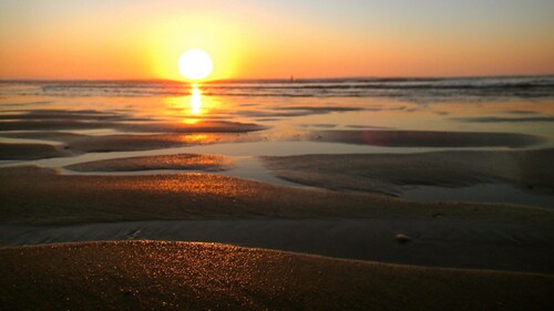  Komfortable Villa mit großem umzäuntem Garten von 2000 m2 mit Pinien bepflanzt.