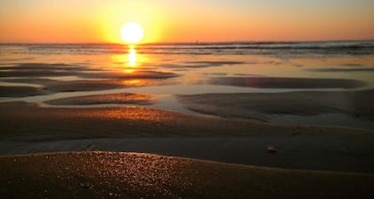 Komfortable Villa mit groĂem umzĂ€untem Garten von 2000 m2 mit Pinien bepflanzt.