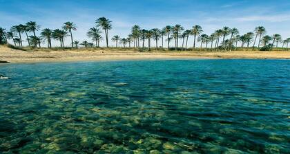 Special offer! A House to Enjoy