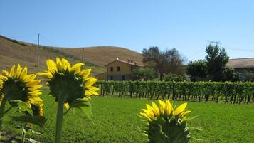 Parco della struttura