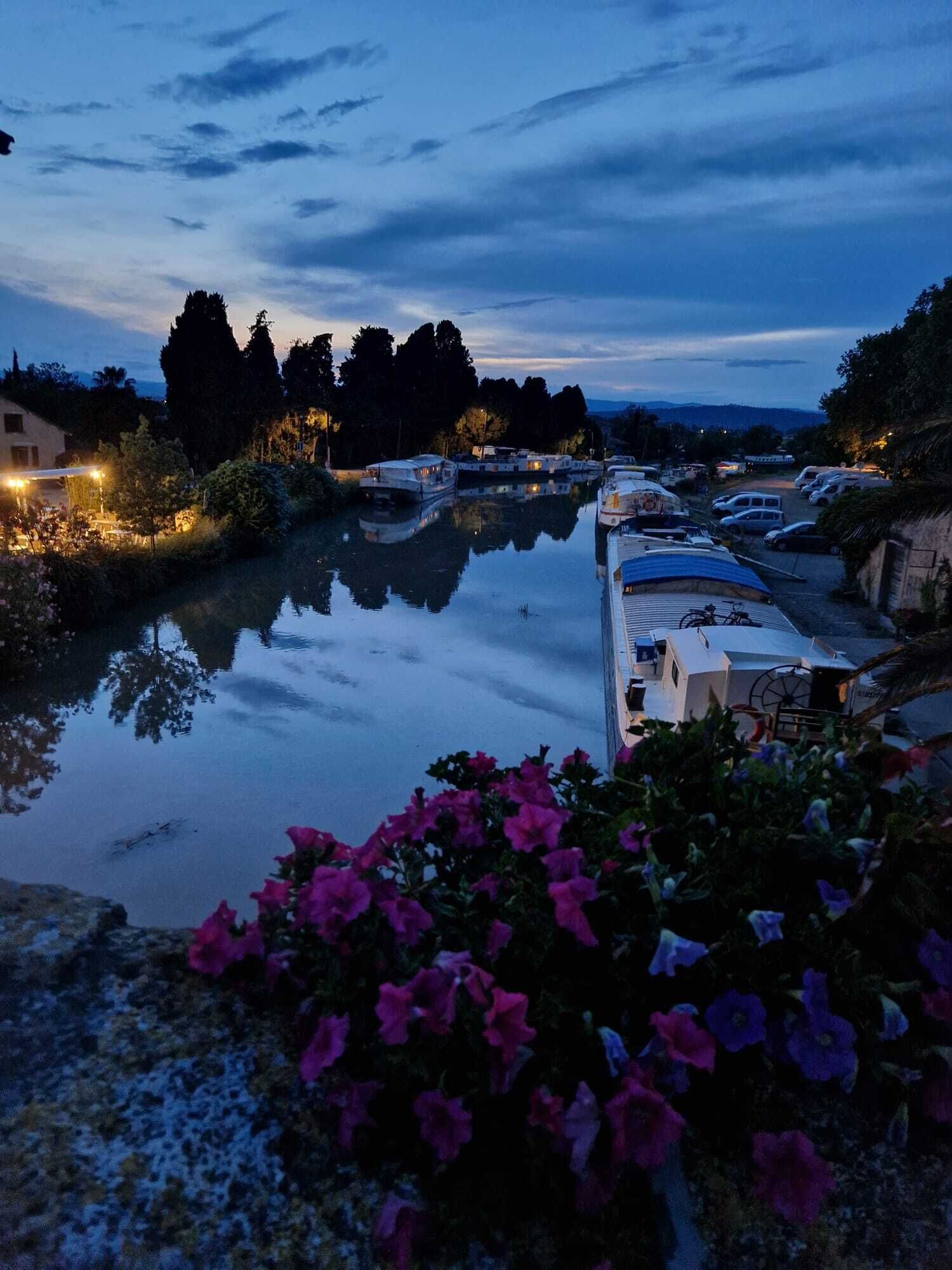 Ein ruhiger Fluss mit vertäuten Booten an der rechten Seite, umgeben von Grünpflanzen und Blumen.