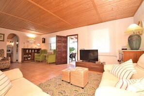 TV, lareira, DVD player