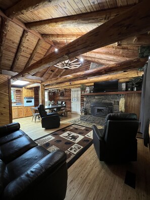 スマートテレビ、暖炉、DVD プレーヤー、書庫