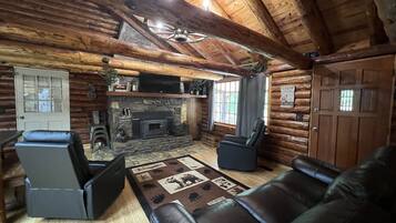 Smart TV, chimenea, reproductor de DVD, libros