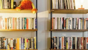 Een gezellige leeshoek met een gele bank, een grijze kussen en een zacht knuffeldier. Boekenplanken vol boeken sieren de muren.