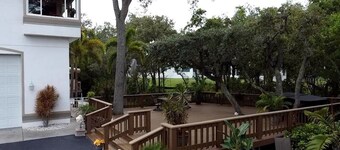 You Are Closer to Your Own Private Paradise on Beautiful Tampa Bay!