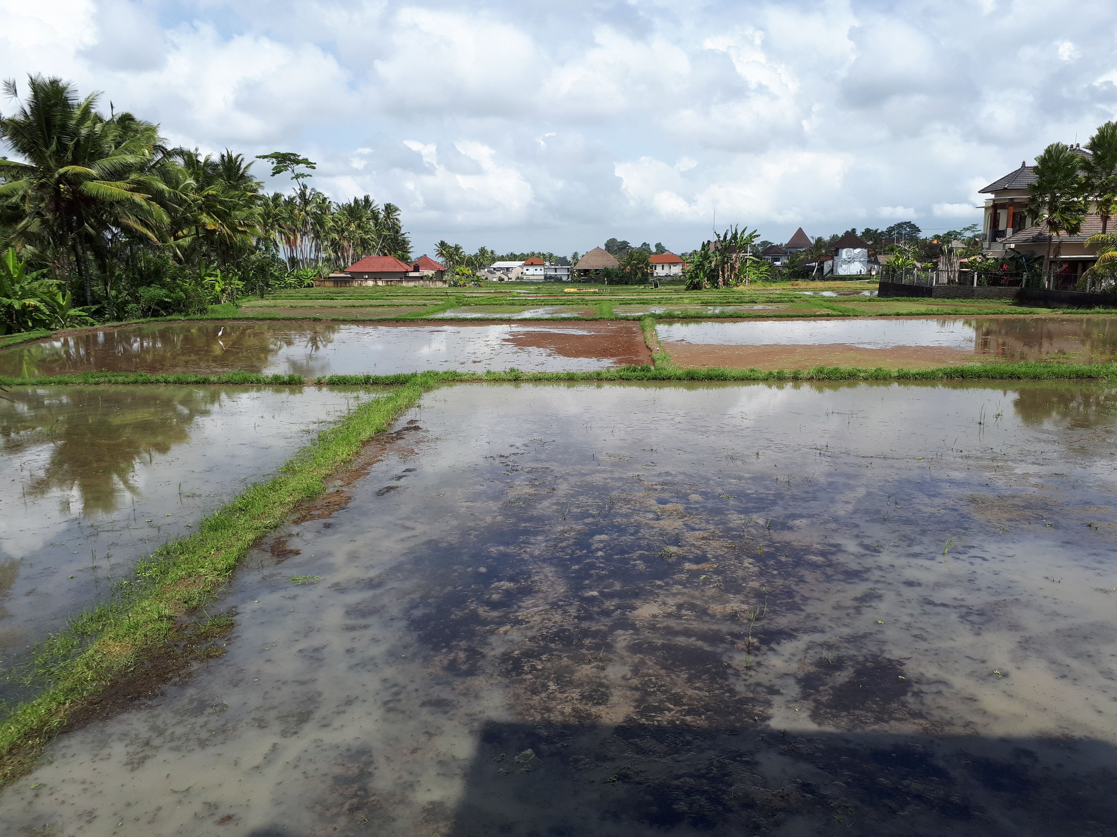 Foto - Villa Kirani Ubud by Mahaputra
