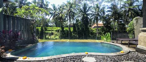 Una piscina con borde de guijarros y piedras para pisar, rodeada de abundante vegetación y palmeras.