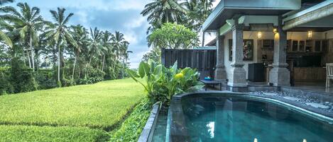 A swimming pool with a stone edge, surrounded by lush greenery and palm trees.