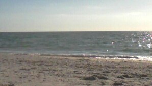 A beach with a clear sky and calm sea. - Sea Shell Haven 
Family Home, 300 yards from the beach, 2 private docks, Grill! (Placida)