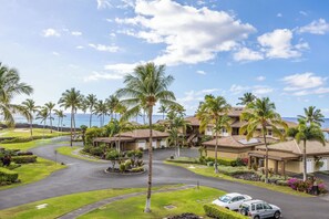 Un complexe hôtelier doté d’une allée sinueuse, de palmiers et offrant une vue sur l’océan.