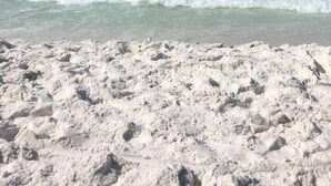 Une plage de sable blanc où les vagues viennent se briser sur le rivage, sous un ciel dégagé.