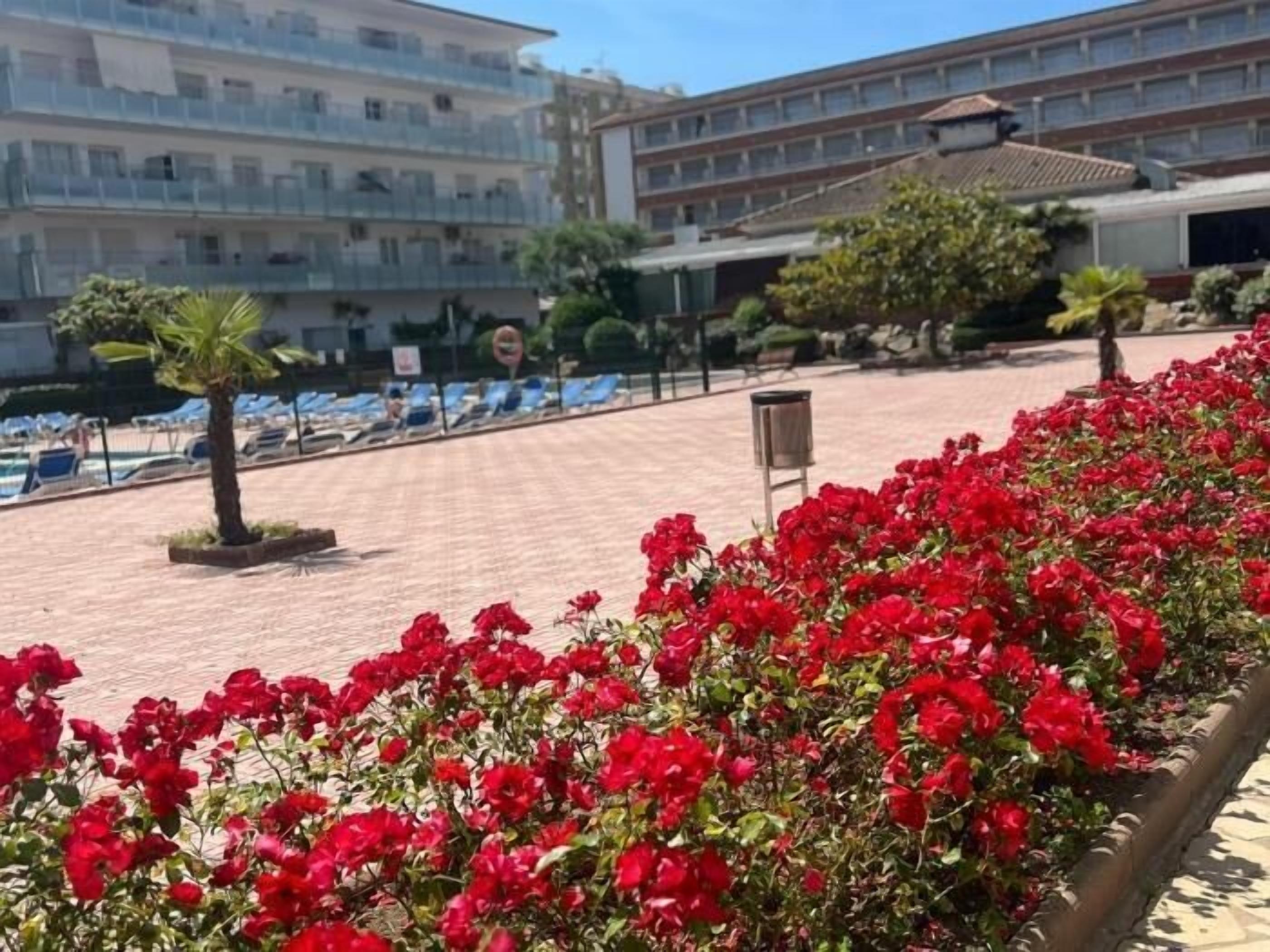 A hotel courtyard with red flowers, a pool, and a building with multiple balconies.