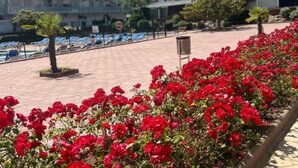 A hotel courtyard with red flowers, a pool, and a building with multiple balconies. - APCOSTAS Lotus / Two Bedrooms (Blanes)