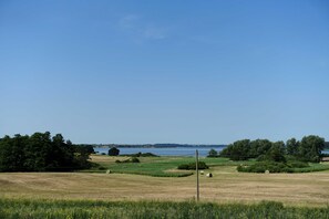 Imagen sin descripción, 5 de 25, botón