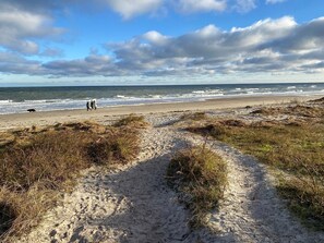 Ein Sandstrand mit einem Weg zum Wasser, einem Hund und zwei Personen, die spazieren gehen.