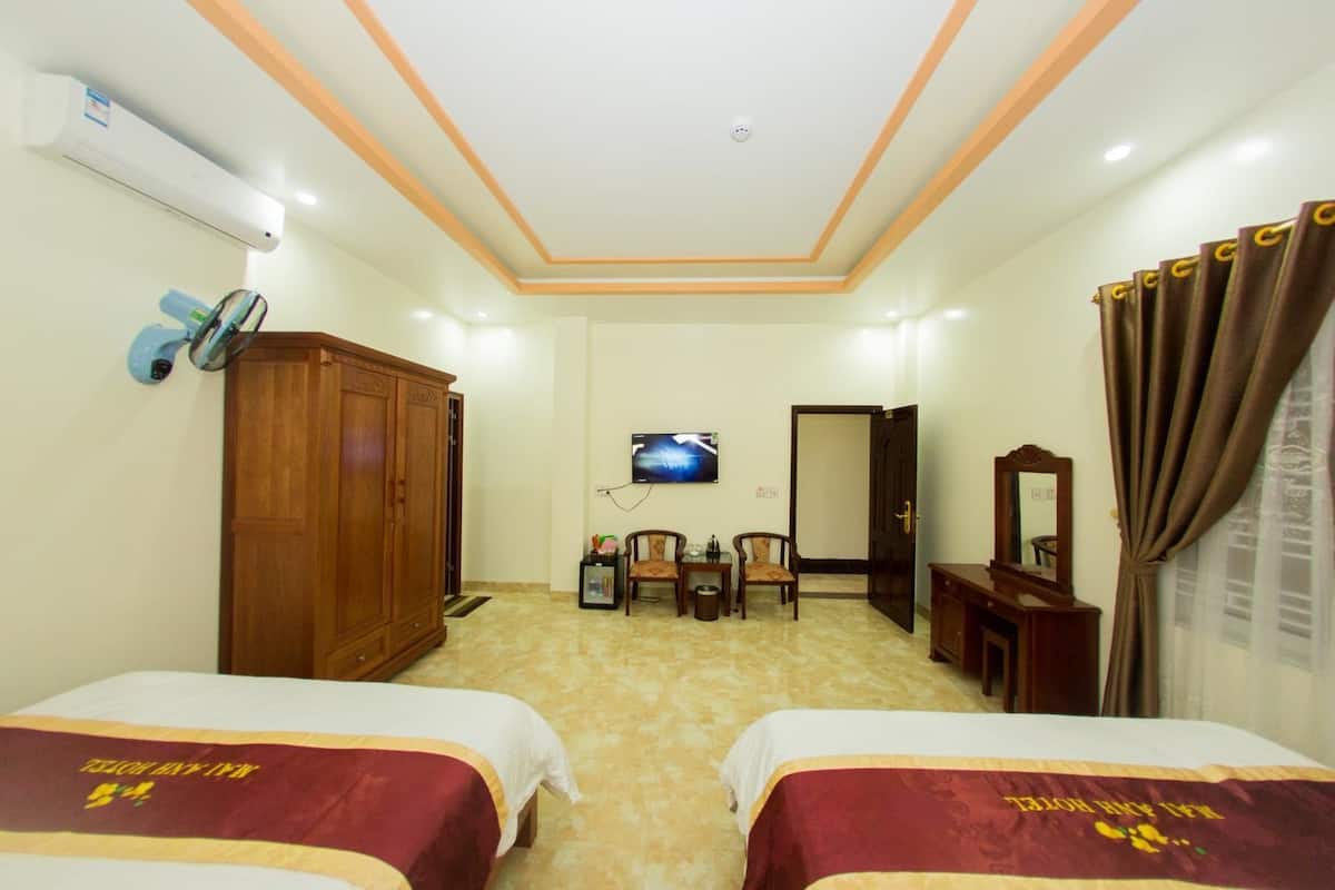 A hotel room with two beds, a TV, a wardrobe, a desk, and a mirror.