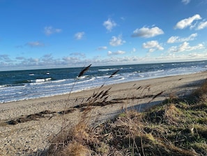 A beach with waves, pebbles, and grasses. - La Casa vacation apartment Schauinsland - FW Schauinsland (Steinberg)