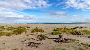 A beach with scattered driftwood and grass, a clear sky, and the ocean in the background.