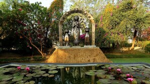 A statue with a base, surrounded by a pond with lily pads and water lilies, set in a garden with trees and shrubs.