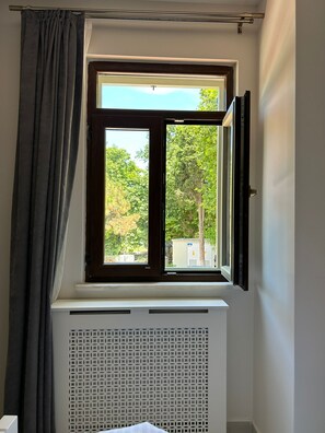 Deluxe-rum | Utsikt mot staden