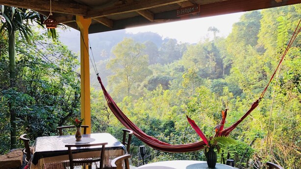 Un área de comedor al aire libre con techado, mesas y sillas, una hamaca y vistas a un bosque exuberante.