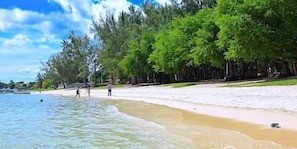 A beach with clear water, a sandy shore, and trees in the background.
