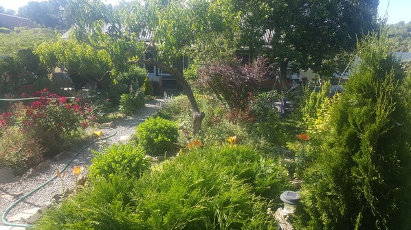 Garden - Flowering garden (Sukko)