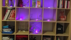 A bookshelf with various items including books, decorative objects, and a wine bottle. - DuomoSuite (Naples)